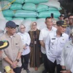 Dorong Ekonomi Desa, Bank Lampung Kucurkan Kredit Alsintan Lebih dari Rp1 Miliar di Mesuji