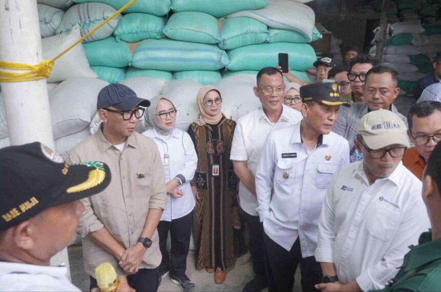 Dorong Ekonomi Desa, Bank Lampung Kucurkan Kredit Alsintan Lebih dari Rp1 Miliar di Mesuji