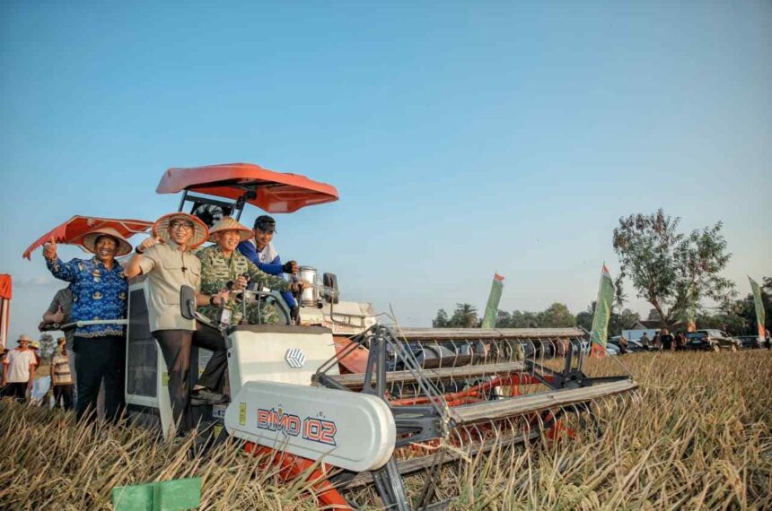 Gubernur Mirza Dampingi Pangdam XXI/Radin Inten pada Panen Raya TNI Terintegrasi di Lampung Tengah